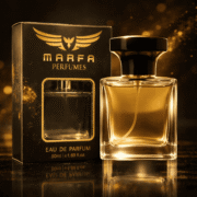 Main Character Pack – Aura Max - Image 4